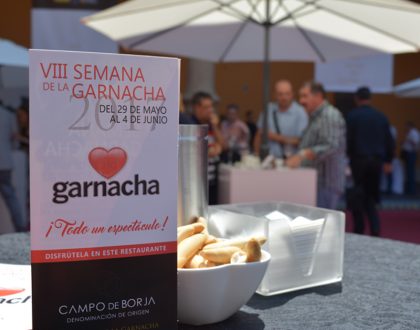 La XIII Muestra de Garnachas de la D.O. Campo de Borja conquistó el Museo de Zaragoza